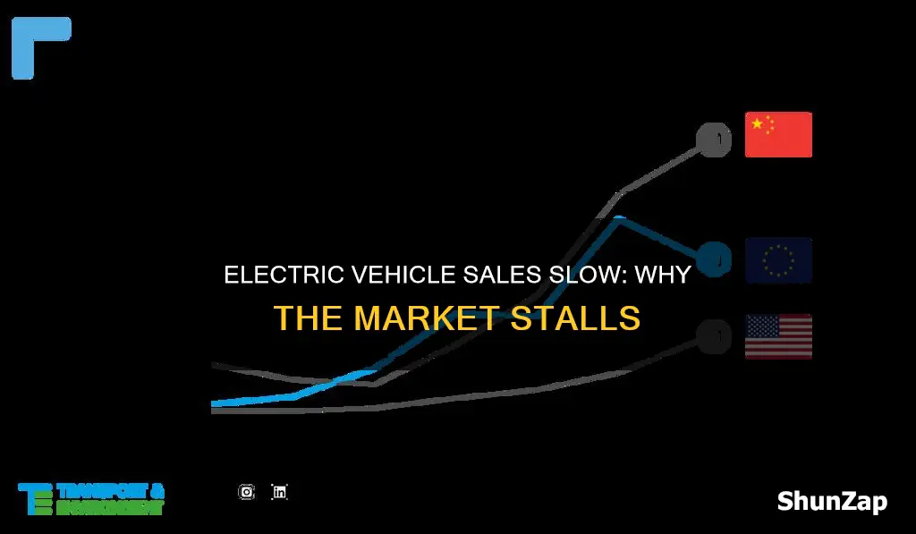 why nobody is buying electric vehicles