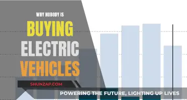 Electric Vehicles: Unsold, Unwanted, and Unaffordable