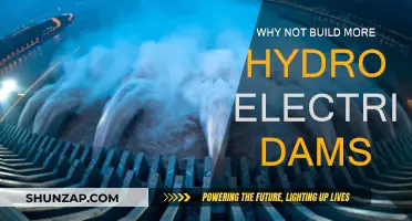 The Benefits of Hydroelectric Dams: Why Build More?