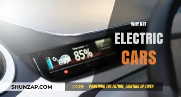 Why Electric Cars Aren't the Perfect Solution for Everyone Yet