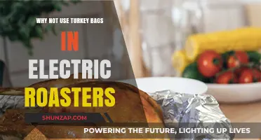 Avoid Turkey Bags in Electric Roasters: Risks and Better Alternatives