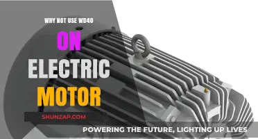 Avoid WD-40: Why It’s Harmful for Electric Motors
