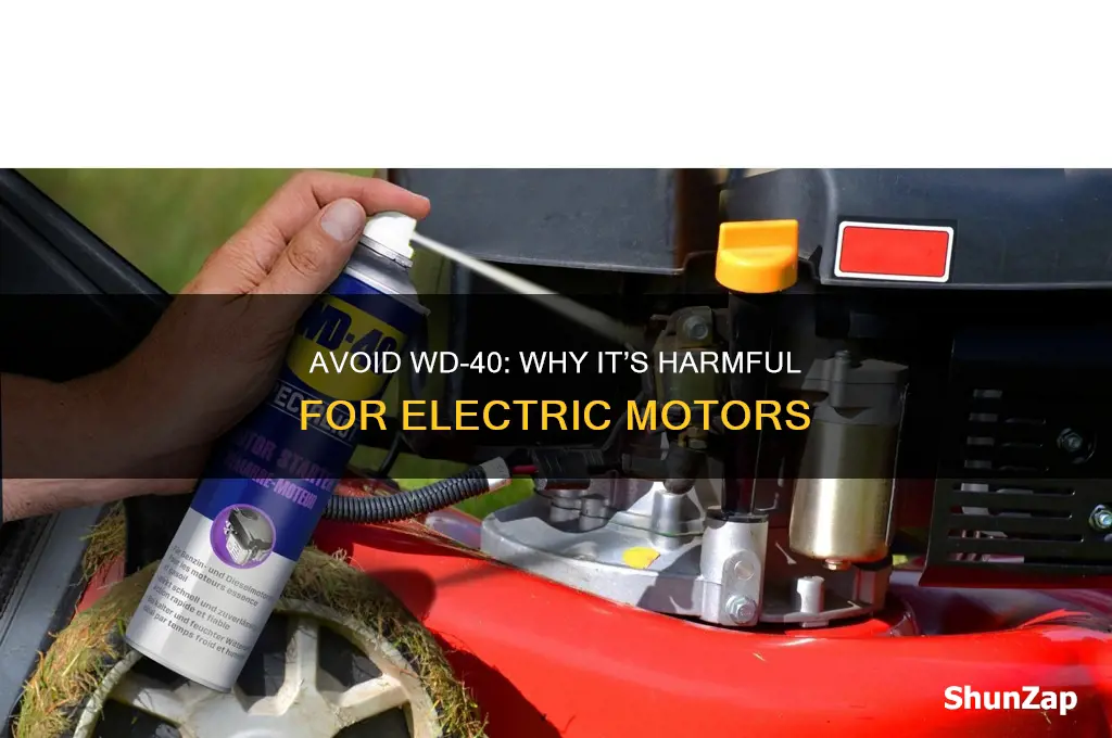 why not use wd40 on electric motor