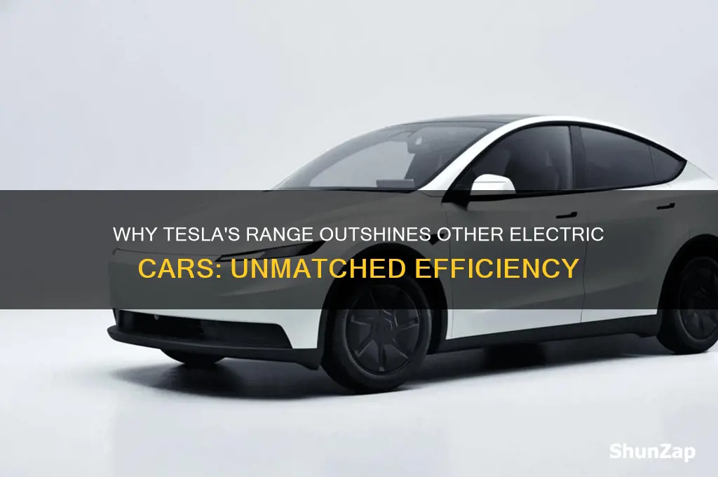 why other electric cars cant match teslas range