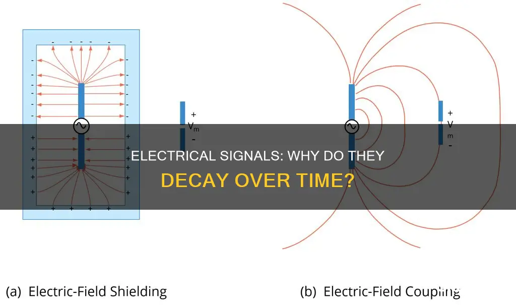why passive electrical signals decay with time