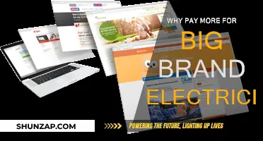 Big Brand Electricity: Is It Worth the Premium?