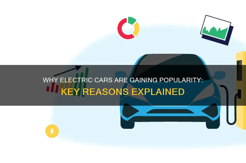 why people choose electric cars
