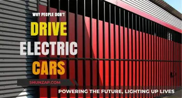 Why Electric Cars Aren't Dominating the Roads Yet: Key Barriers Explained