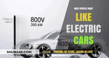 Why Electric Cars Face Resistance: Common Concerns Explained