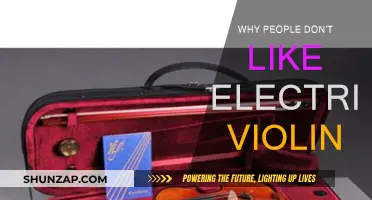 Electric Violins: Why Some Traditionalists Are Resistant