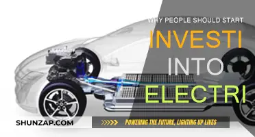 Electric Cars: The Future of Smart Investing