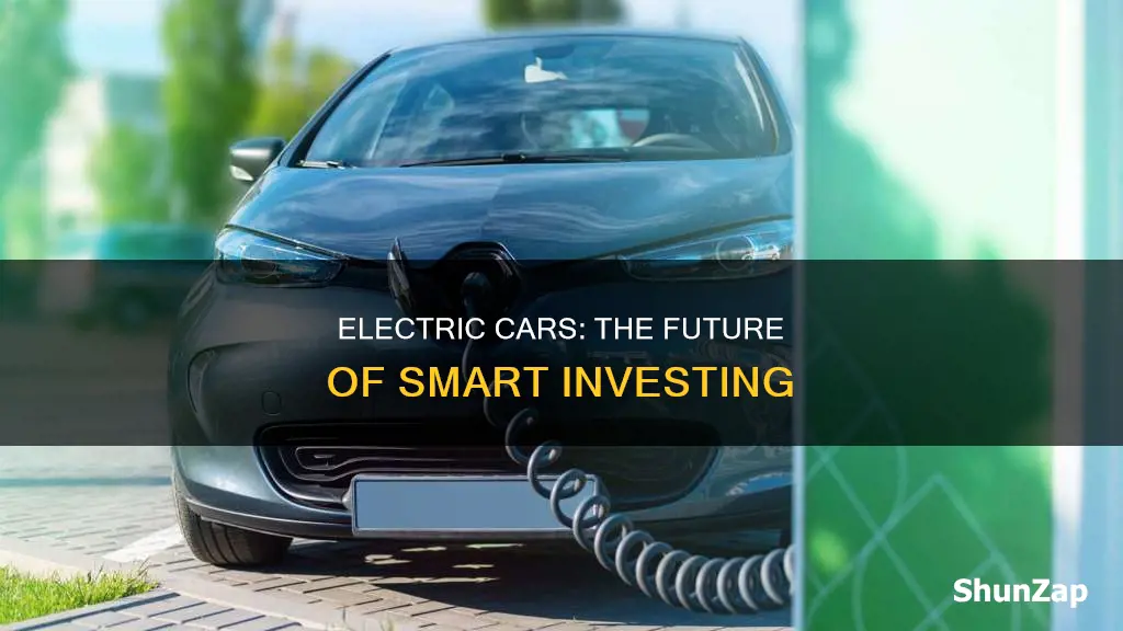 why people should start investing into electric
