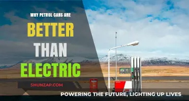 Petrol Cars: Superior Performance, Reliability, and Practicality Over Electric Vehicles