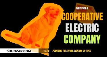 Electric Co-ops: Powering Communities Together