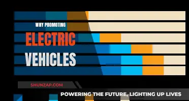 The Green Revolution: Why Electric Vehicles Are the Future