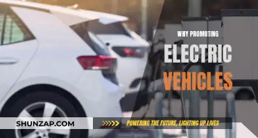 Electric Vehicles: Greener, Quieter, and Worth Promoting