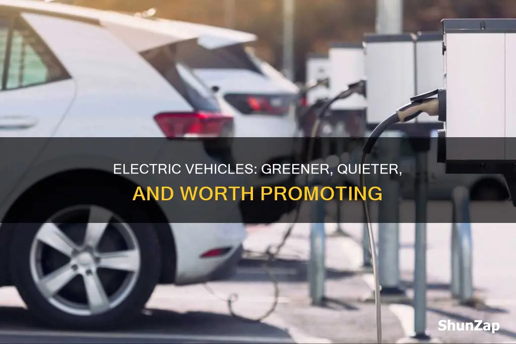 why promoting electric vehicles