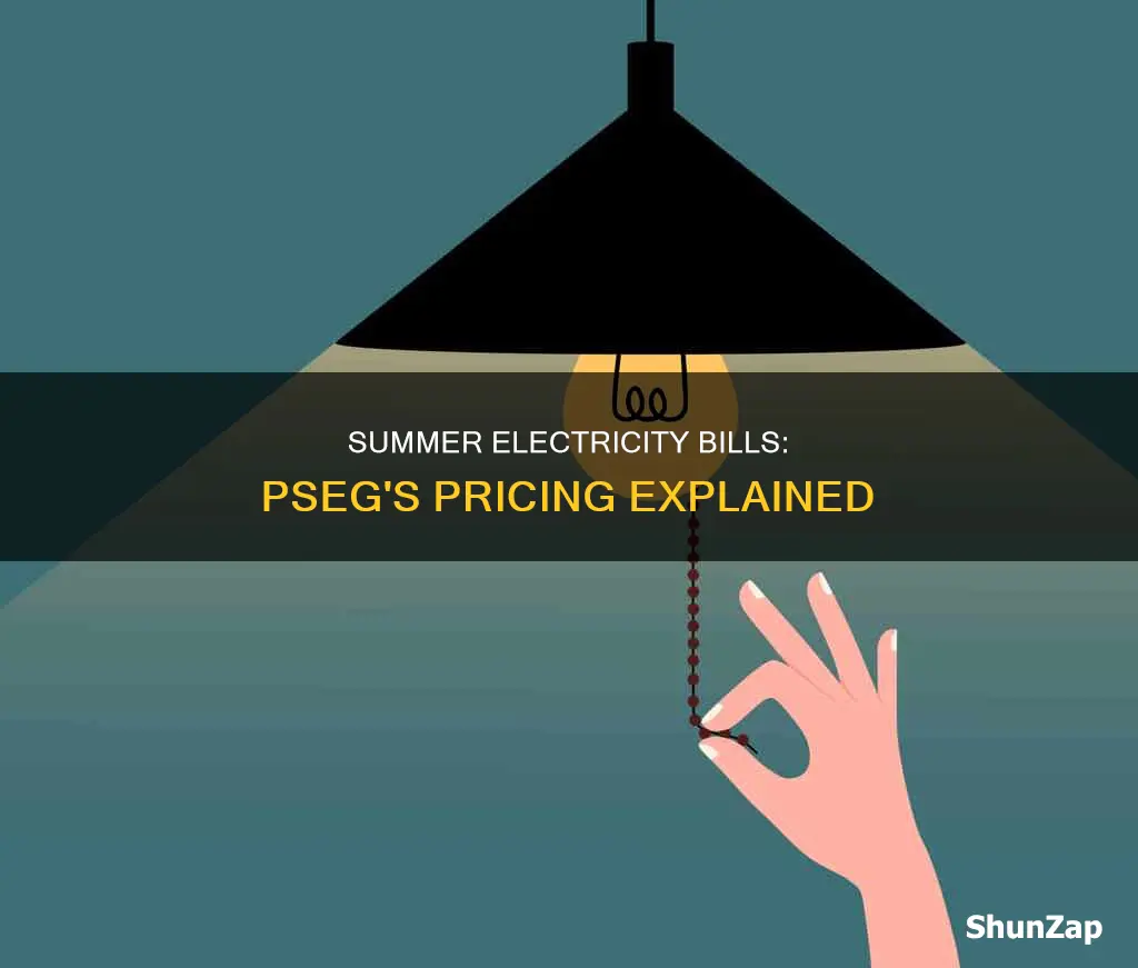 why pseg double my electricity during summer