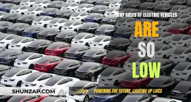 Electric Vehicles: Low Sales, What's the Reason?