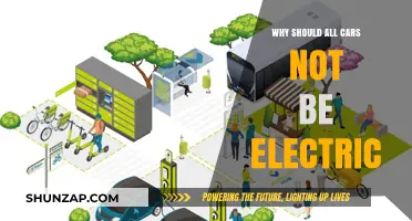 Why Electric Vehicles Aren't the Only Sustainable Transportation Solution