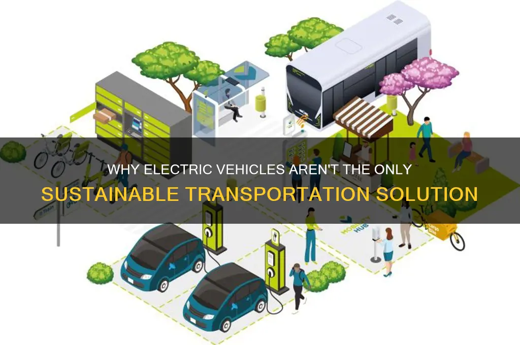 why should all cars not be electric