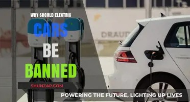 Electric Cars: Environmental Myth or Unsustainable Reality?