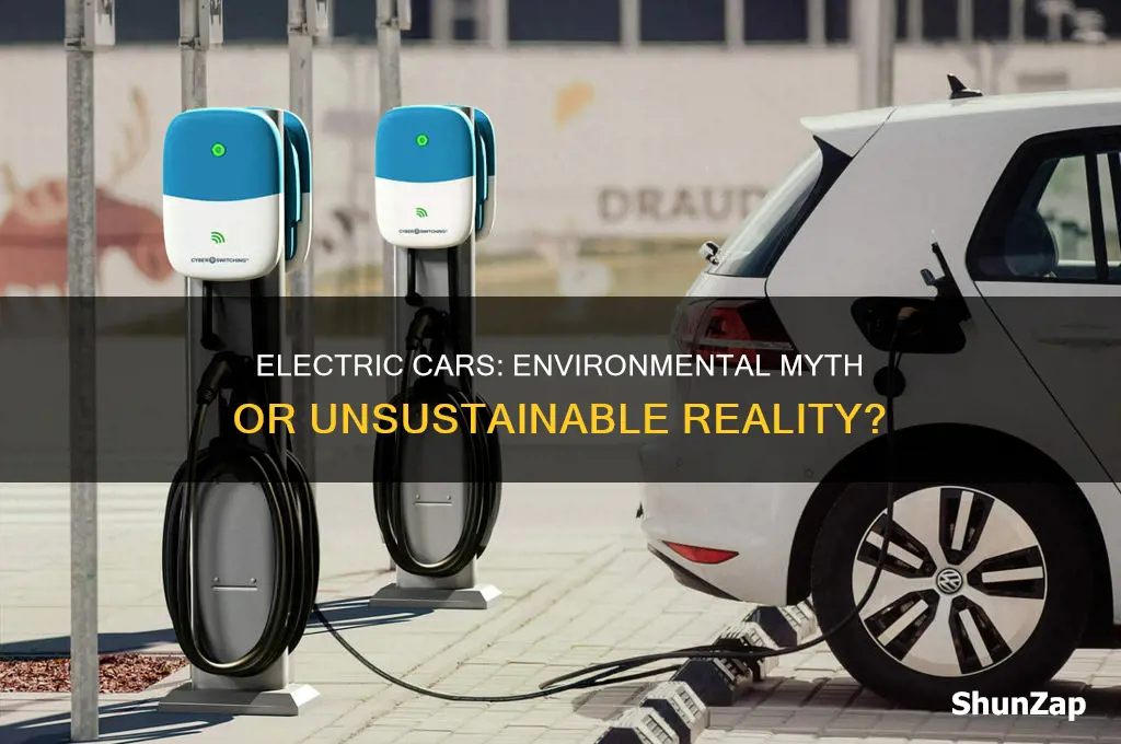 why should electric cars be banned