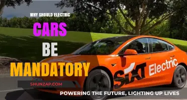 Electric Cars: The Urgent Need for a Mandatory Shift to Sustainability