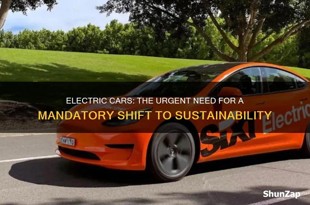 why should electric cars be mandatory