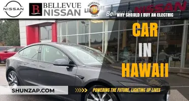Go Green in Paradise: Why Electric Cars are Perfect for Hawaii