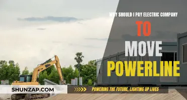 Relocating Power Lines: A Costly But Necessary Task