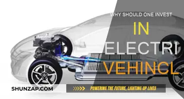 Electric Vehicles: Smart Investment for a Greener Future