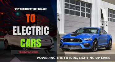 Rethinking the Rush: Why Electric Cars Aren’t the Only Answer