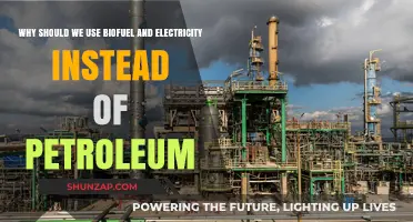 Biofuel and Electricity: Sustainable Alternatives to Petroleum for a Greener Future