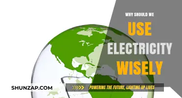 Conserve Energy, Save Money, Protect Earth: The Importance of Wise Electricity Use