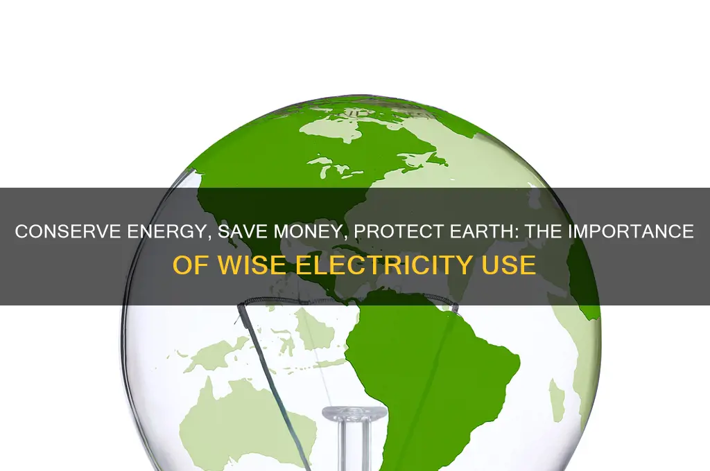 why should we use electricity wisely