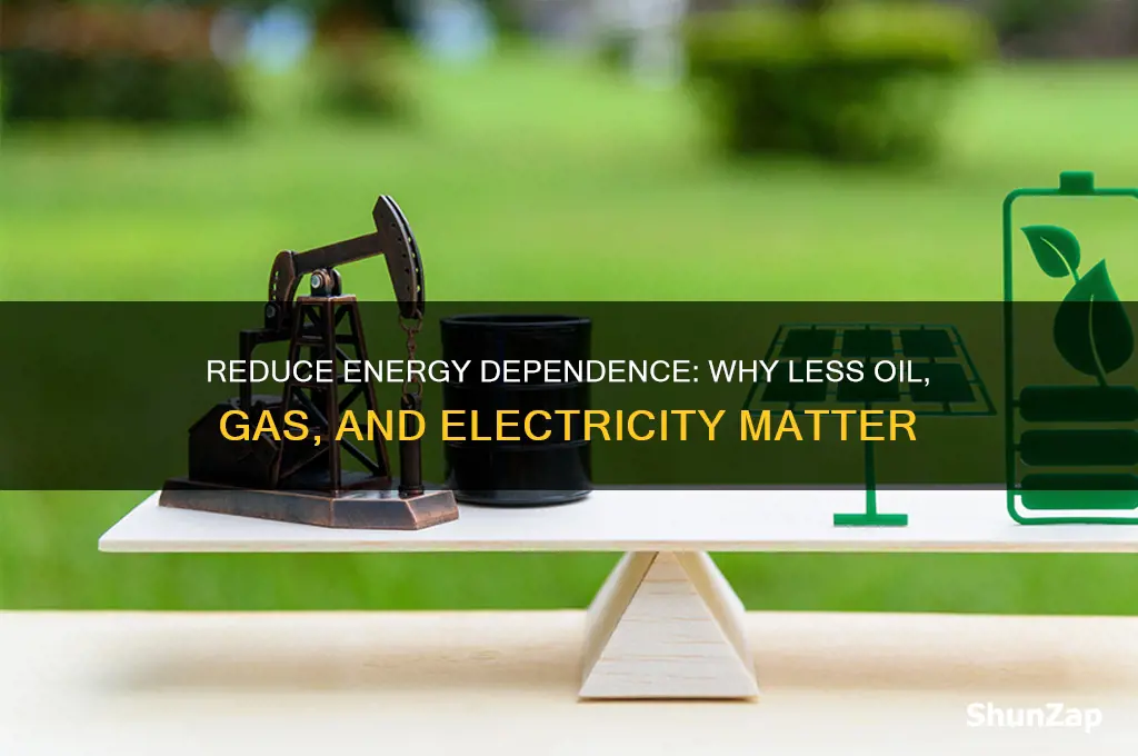 why should we use less oil natural gas and electricity