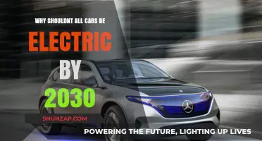 Electric Vehicles by 2030: Challenges and Realistic Expectations