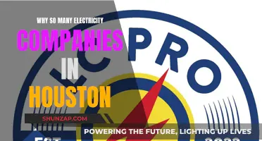 Houston's Competitive Electricity Market: Many Companies, One Goal