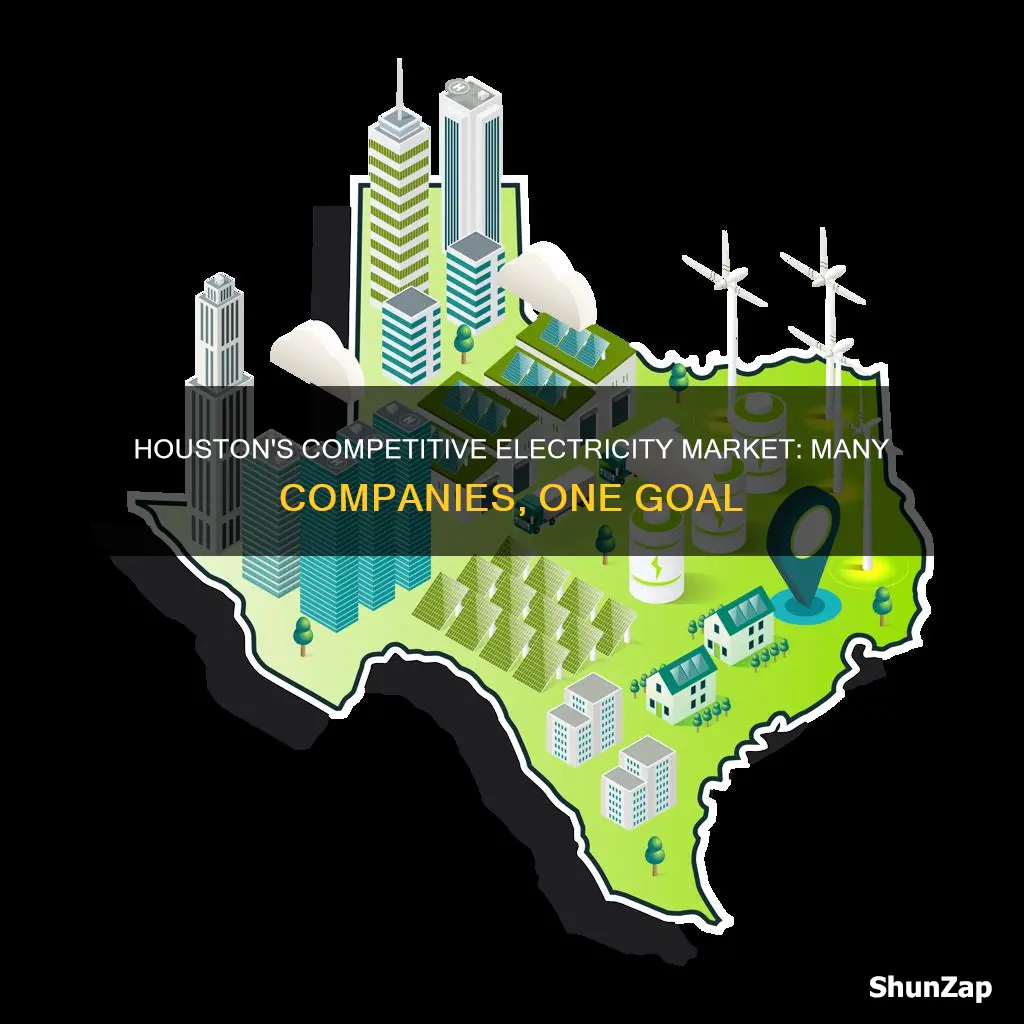 why so many electricity companies in houston