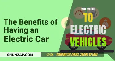 Green Revolution: 5 Reasons to Embrace Electric Vehicles