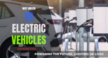 The Future is Electric: Why Switch to EVs?