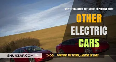 Why Tesla Cars Cost More Than Other Electric Vehicles
