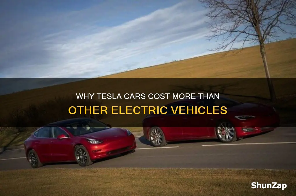 why tesla cars are more expensive that other electric cars