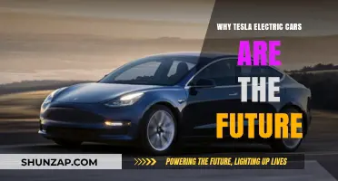 Tesla Electric Cars: Revolutionizing Sustainable Transportation for Tomorrow's World