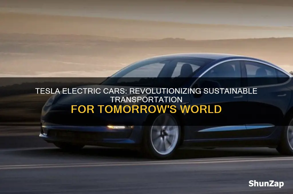 why tesla electric cars are the future