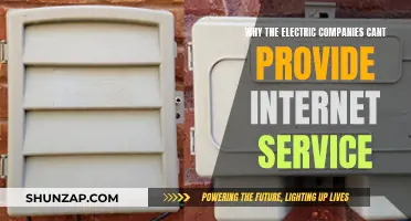Electric Companies: Unlikely Internet Service Providers?