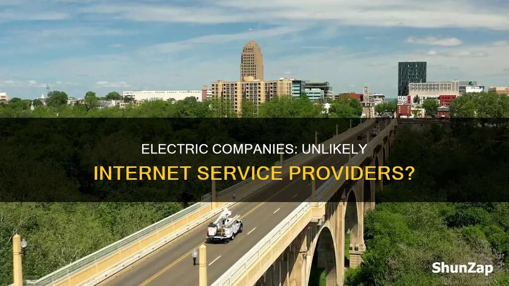 why the electric companies cant provide internet service
