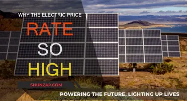 Electricity Prices: Why the Surge?