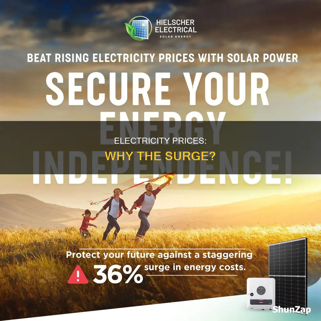 why the electric price rate so high